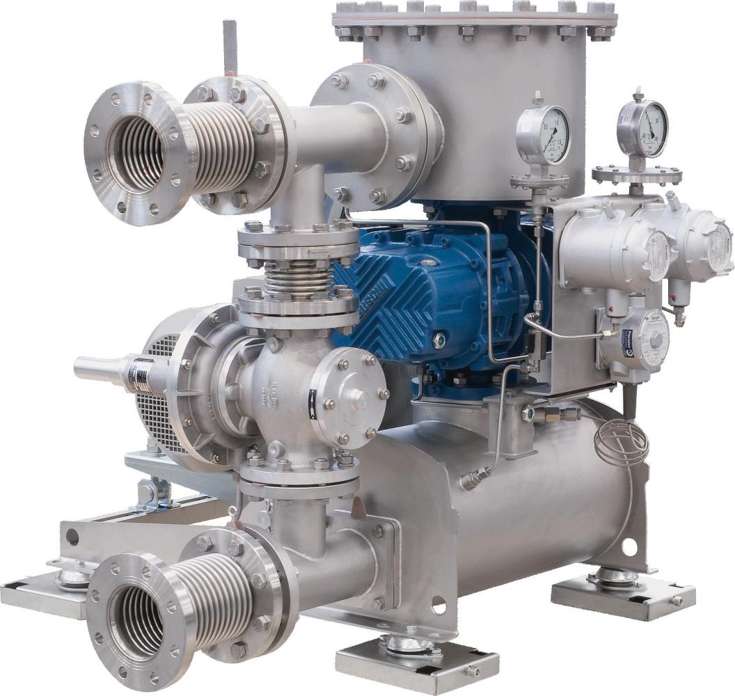 Cụm máy thổi khí biogas Robuschi Robox Bio và Gas