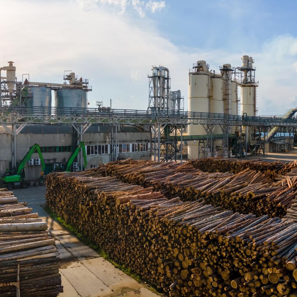 Sản phẩm gỗ