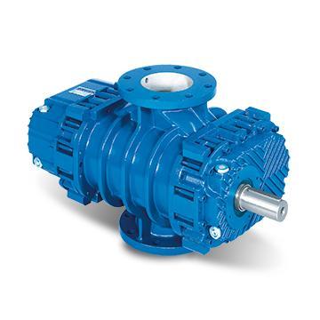 Bộ phụ tùng & kit sửa chữa chính hãng Robuschi (máy thổi khí roto, trục vít, bơm vòng nước)