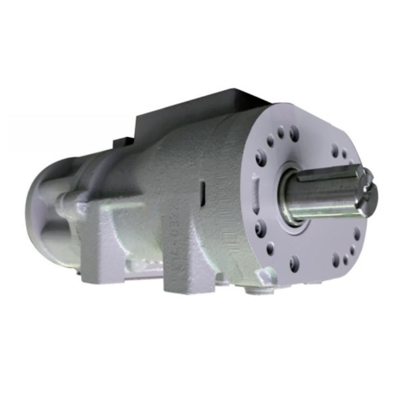 Cụm đầu nén (Air End) GHH Rand CE55RW – P/N CE55RW
