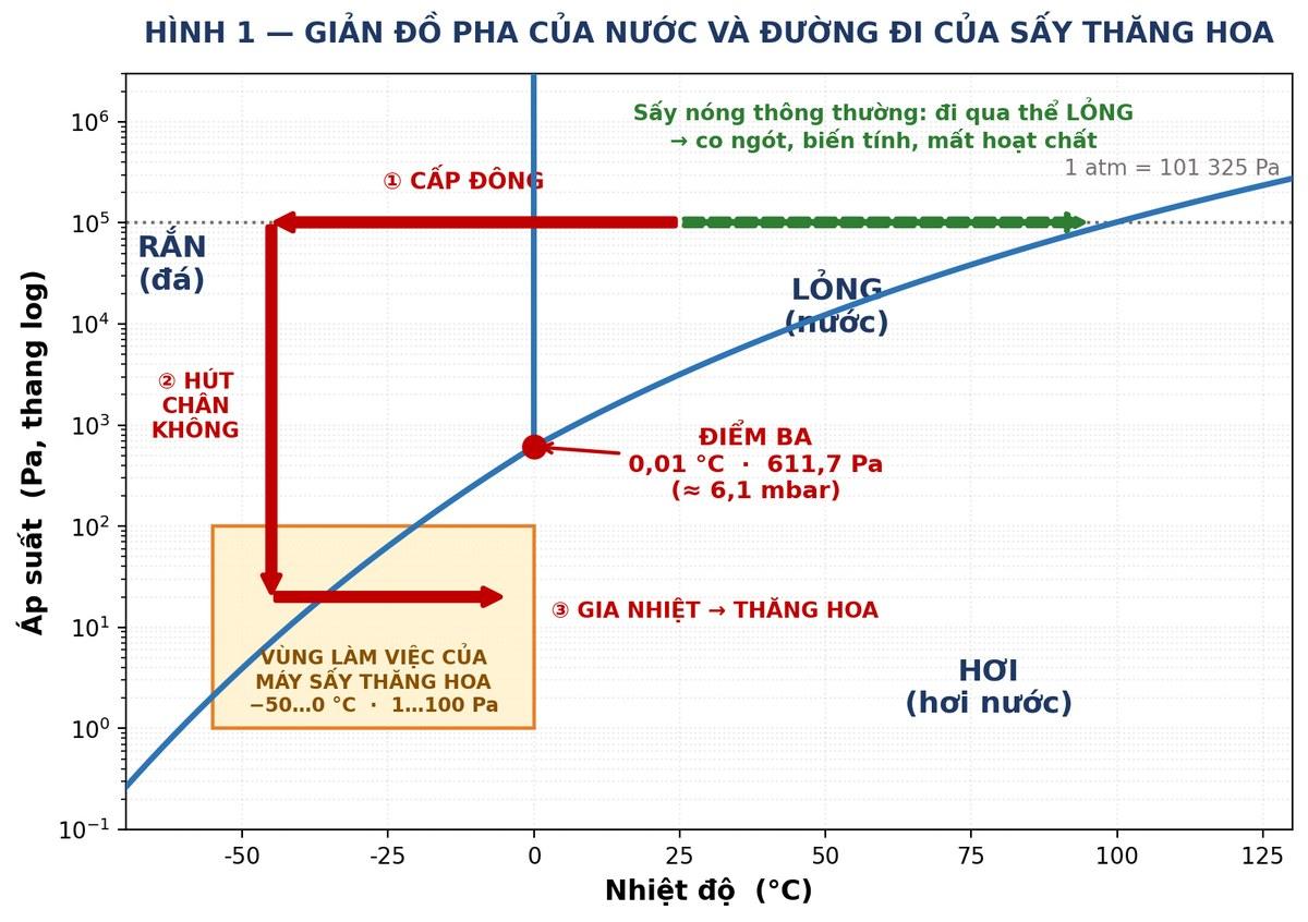 Giản đồ pha của nước và đường đi của quá trình sấy thăng hoa qua điểm ba