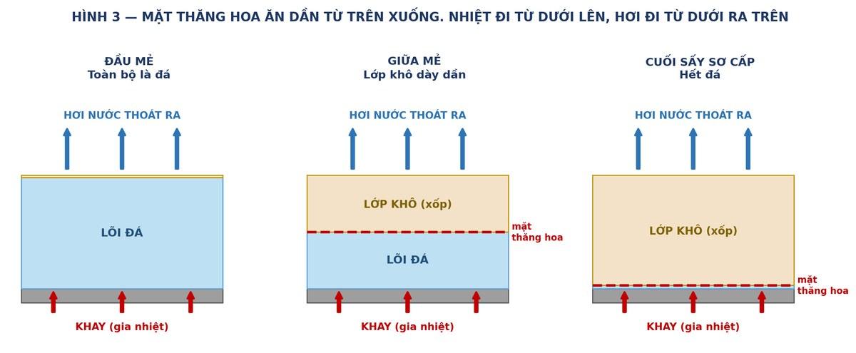 Mặt thăng hoa di chuyển từ trên xuống trong lớp sản phẩm sấy thăng hoa