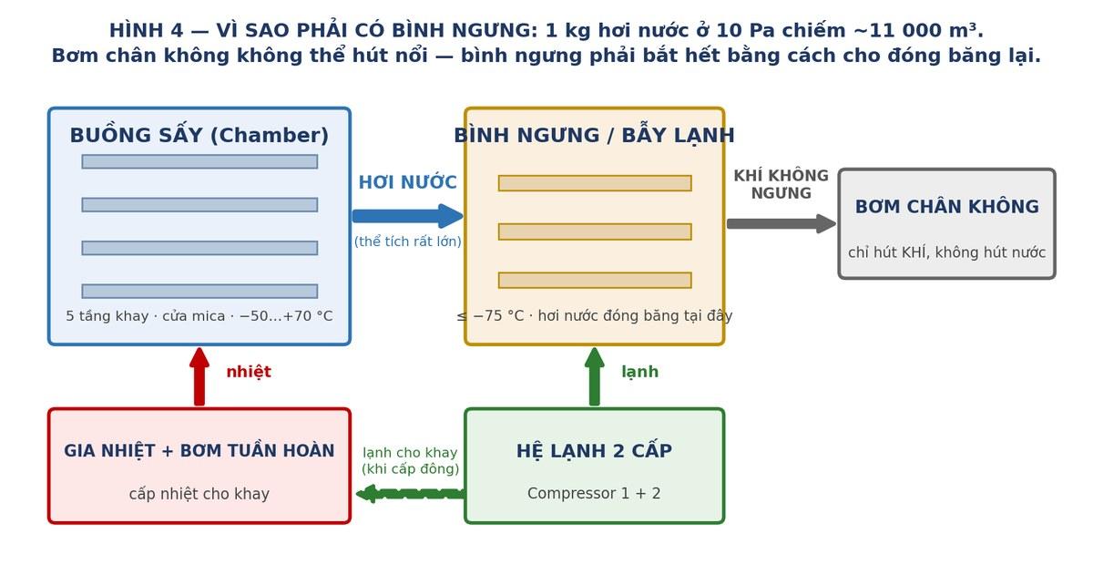 Sơ đồ nguyên lý máy sấy thăng hoa: buồng sấy, bình ngưng, bơm chân không