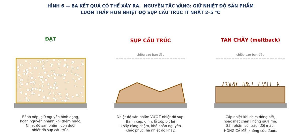 So sánh sản phẩm sấy thăng hoa đạt, bị sụp cấu trúc và bị tan chảy