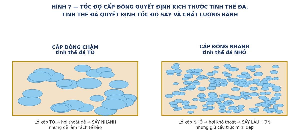 Ảnh hưởng của tốc độ cấp đông đến kích thước tinh thể đá